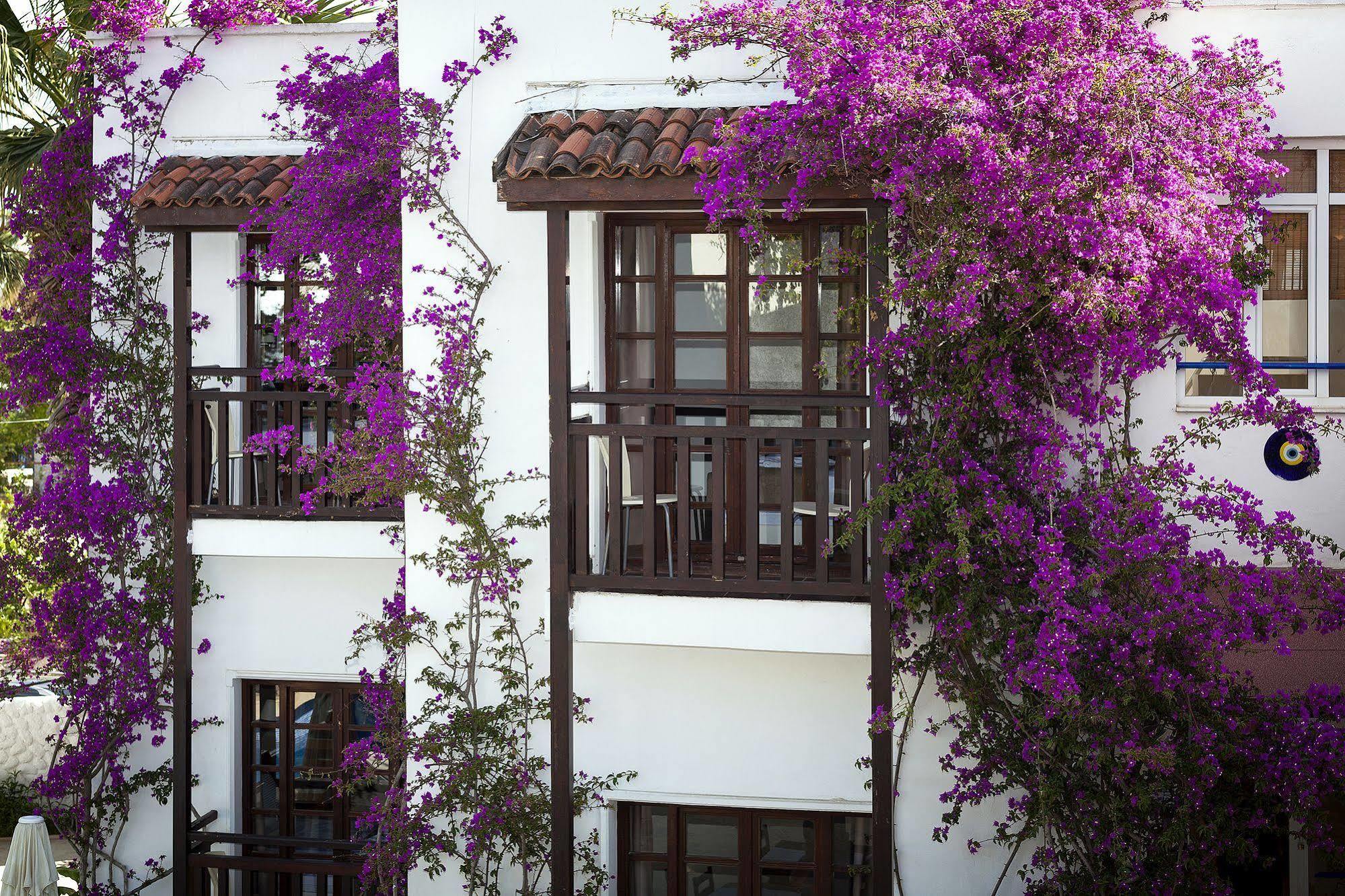 Orion Hotel Битез Экстерьер фото